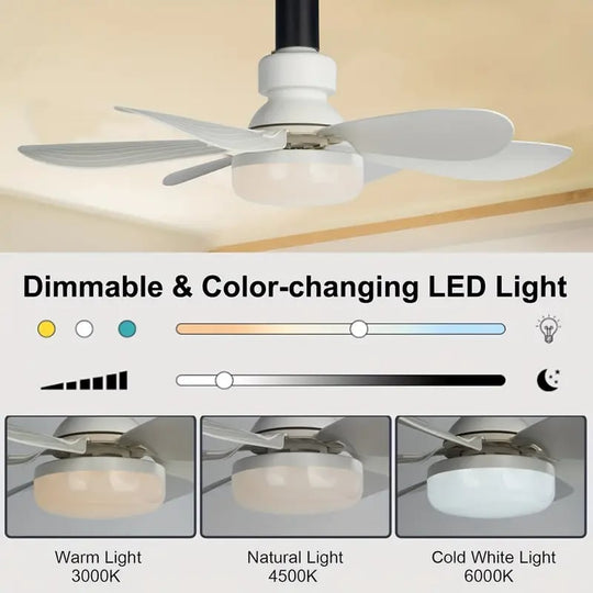 ⏳SALDI ULTIMO GIORNO 🔥Ventilatore da soffitto a LED da 40 W con luce integrata – 52 cm (20,5”), ultra silenzioso con telecomando. 🎯 | E27 + Adattatore B22 GRATUITO 🔌 | Per la camera da letto 😴,  Cucina 👩‍🍳 &  Garage 🛠️