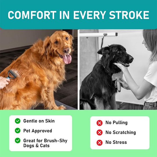 🐶50% OFF NOW✨Dual-Sided Pet Grooming Comb for Dogs & Cats🐾