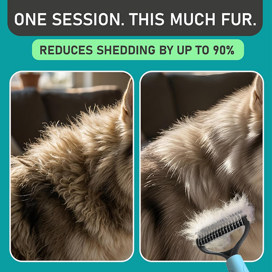 🐶50% OFF NOW✨Dual-Sided Pet Grooming Comb for Dogs & Cats🐾