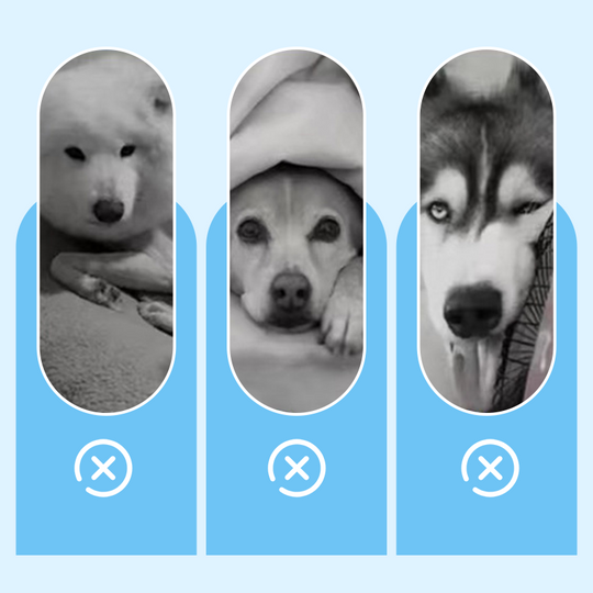 🧊Dog Cooling Mat (4x more effective)