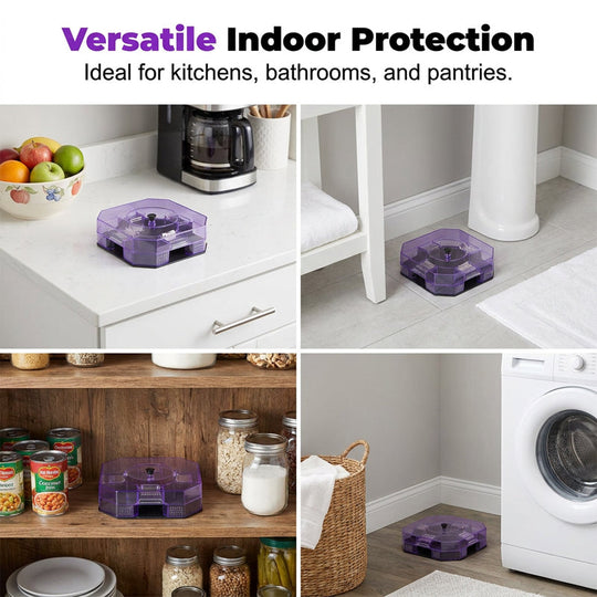 Reusable Roach Trap – Physical capture, no toxic sprays. One‑way doors, easy to check & clean. Safe for homes with kids & pets! 🏠✨