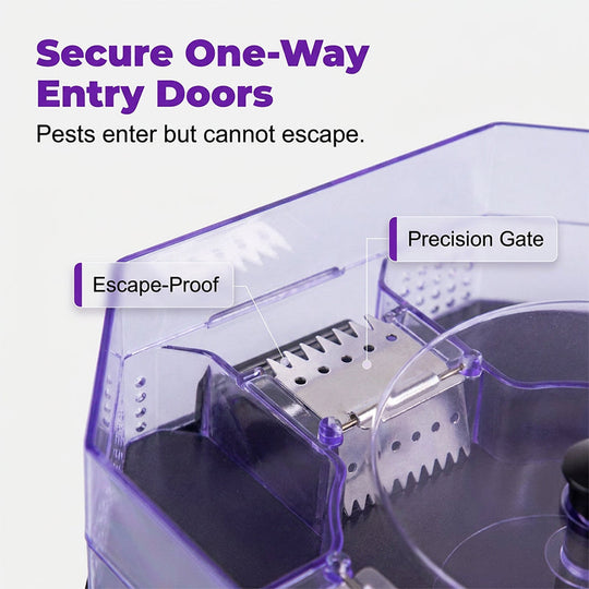 🥳2026 HOT SALE🥳💞50K+ SOLD!♻️ Reusable Roach Trap – Physical capture, no toxic sprays. One‑way doors, easy to check & clean. Safe for homes with kids & pets! 🏠✨
