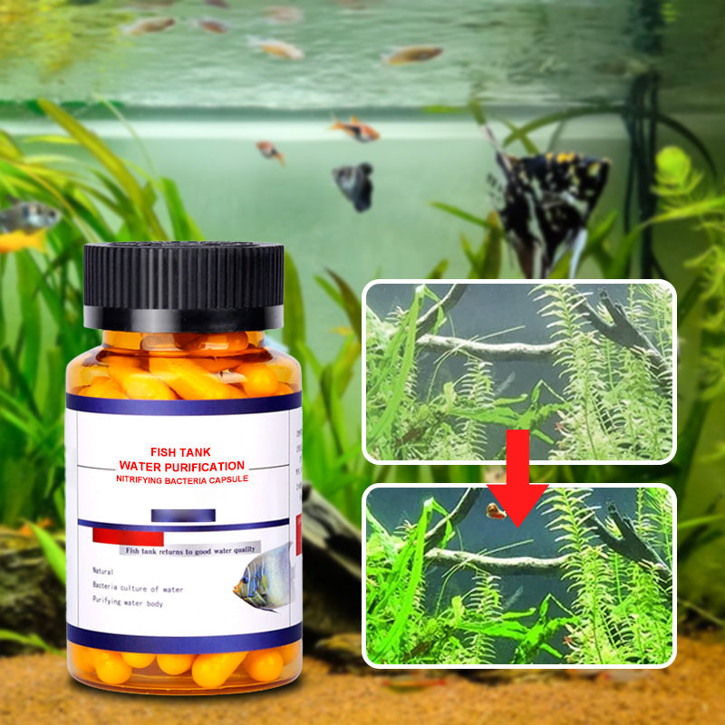 Fish Tank Water Purification Nitrifying Bacteria Capsule