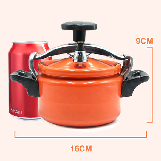 Uncoated Explosion-Proof Pressure Mini Cooker